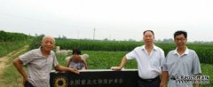 <strong>魏怀习馆长、黄慧子副馆长应沐鸣</strong>